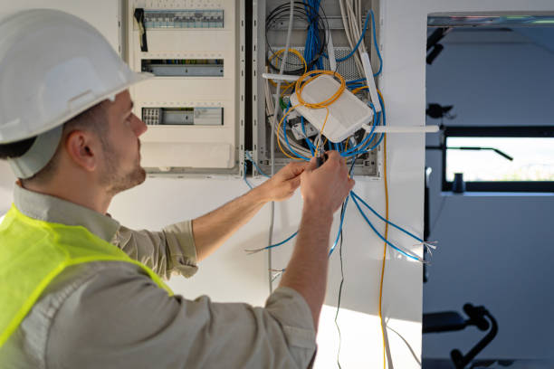 Best Electric Panel Repair  in Fowler, CO